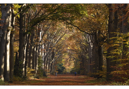 20251108-Corversbos-107