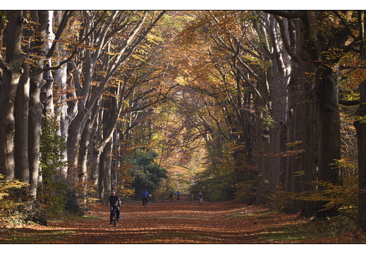 20251108-Corversbos-109