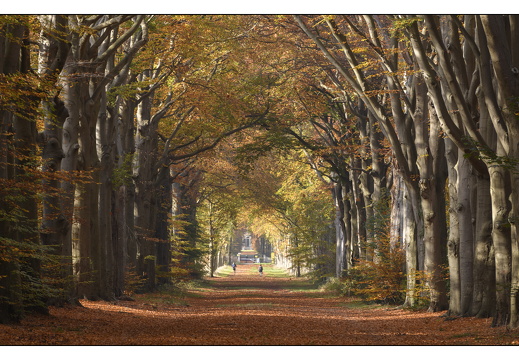 20251108-Corversbos-112