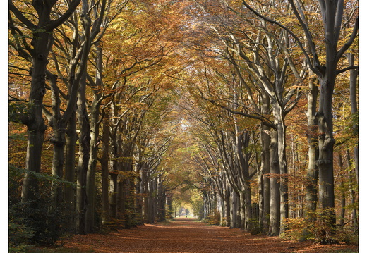 20251108-Corversbos-113