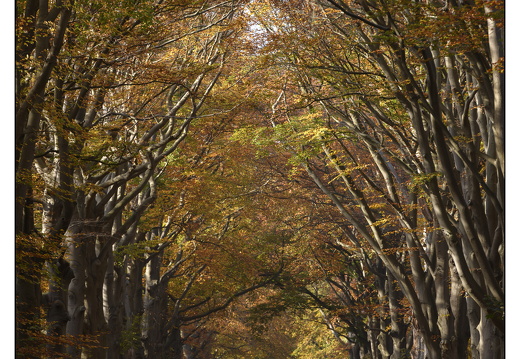 20251108-Corversbos-114