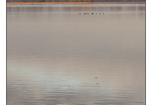 20251108-Loosdrecht-103