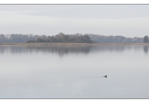 20251108-Loosdrecht-104