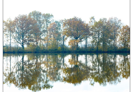 20251108-Loosdrecht-108