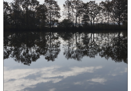 20251108-Loosdrecht-109