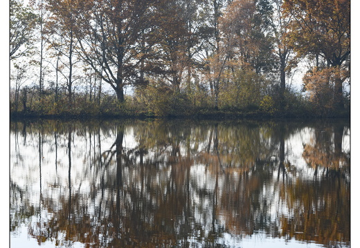 20251108-Loosdrecht-110