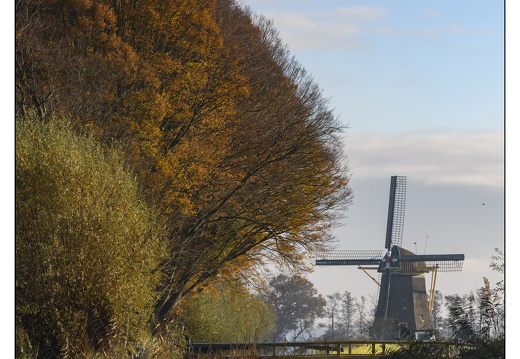 20251108-Vechtstreek-101