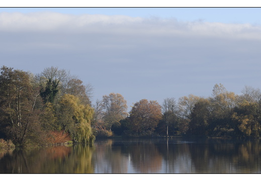 20251108-Vechtstreek-103