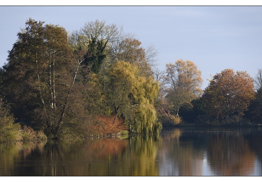 20251108-Vechtstreek-104