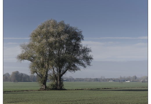 20251108-Vechtstreek-105