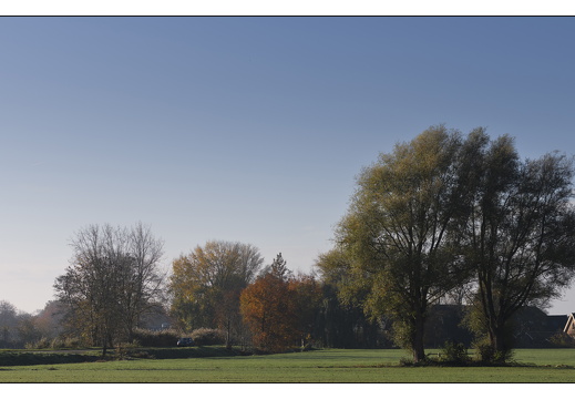 20251108-Vechtstreek-110