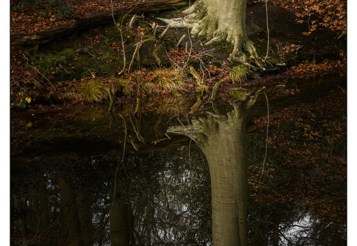 20251221-Corversbos-101