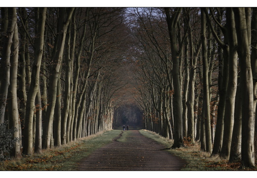 20251221-Corversbos-104