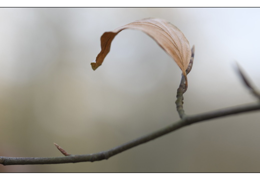 20251221-Corversbos-106