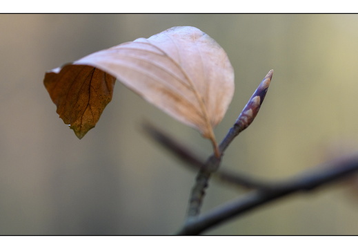 20251221-Corversbos-108