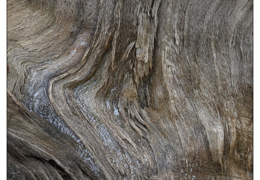 20251221-Corversbos-111