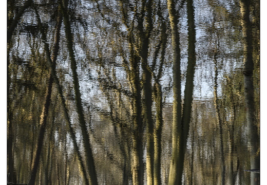 20251221-Corversbos-123