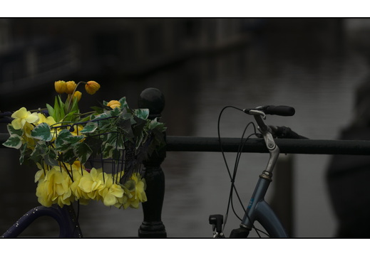 20251227-Amsterdam-108