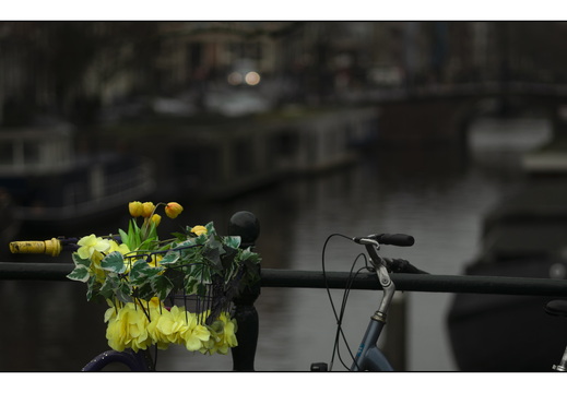 20251227-Amsterdam-109