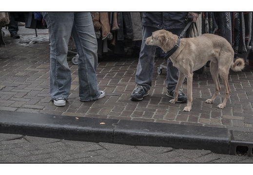 20251227-Amsterdam-117