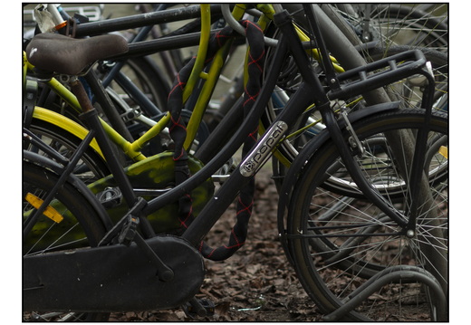 20251227-Amsterdam-139