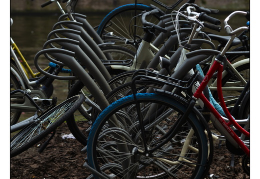 20251227-Amsterdam-142