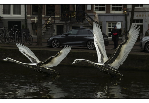 20251227-Amsterdam-143