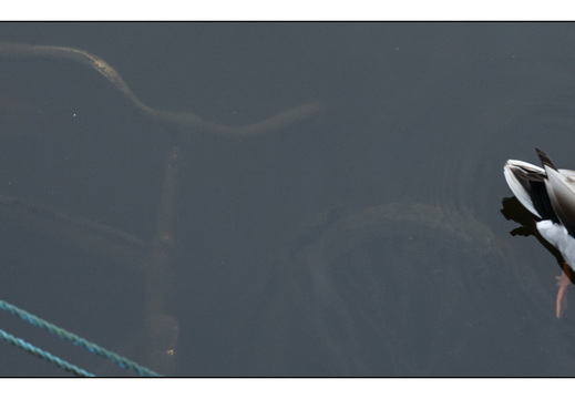 20251227-Amsterdam-171