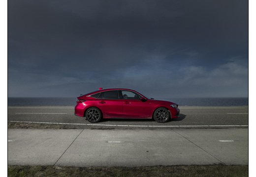 20260208-Flevoland-111