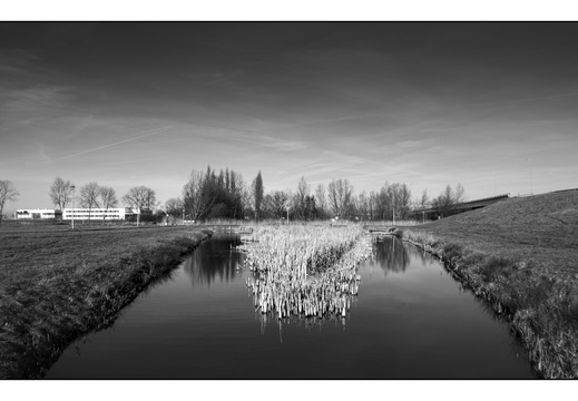 20260117-Fietsen-103