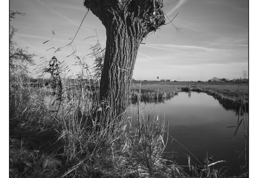 20260117-Fietsen-104