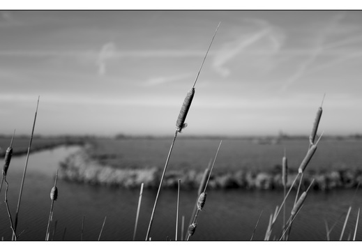 20260117-Fietsen-105