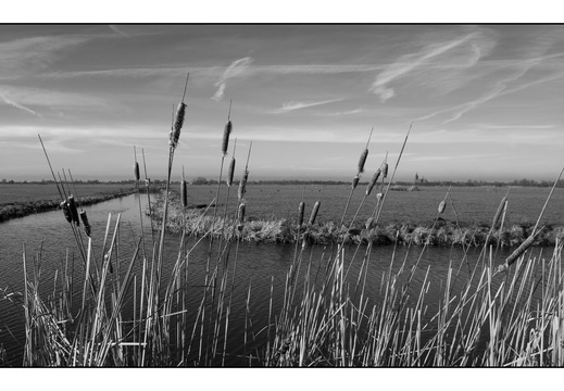 20260117-Fietsen-106