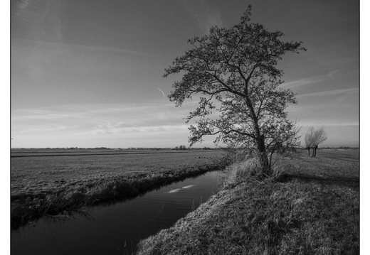 20260117-Fietsen-107