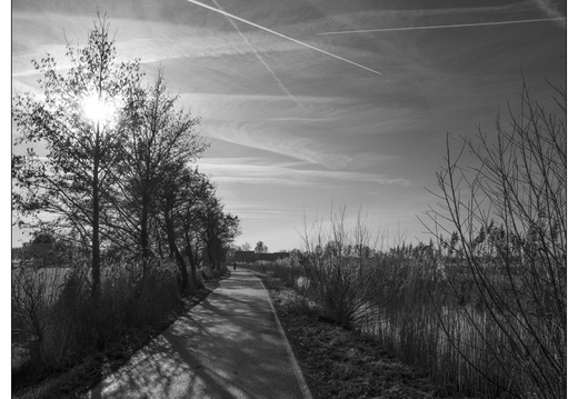 20260117-Fietsen-108