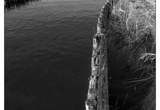 20260117-Fietsen-116