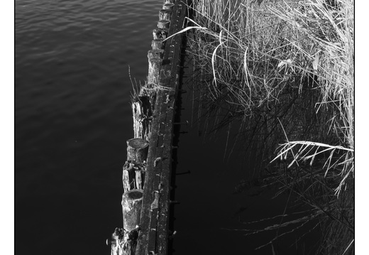 20260117-Fietsen-118