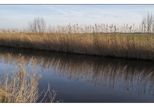 20260117-Fietsen-120