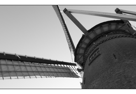 20260124-Vechtstreek-107