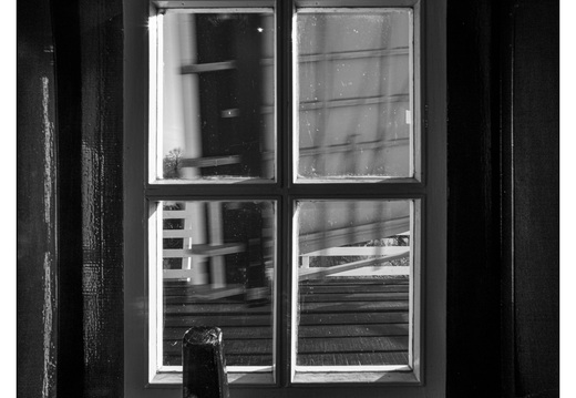 20260124-Vechtstreek-109