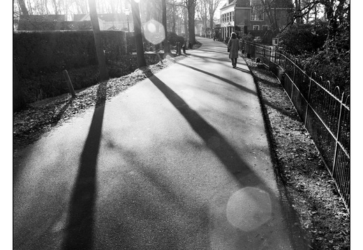 20260124-Vechtstreek-110