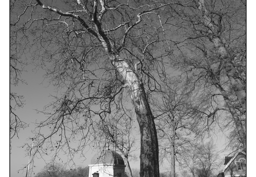 20260124-Vechtstreek-112