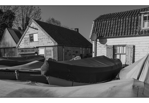 20260124-Vechtstreek-118