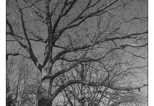 20260124-Vechtstreek-121