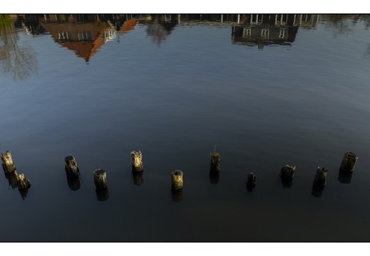 20260124-Vechtstreek-124