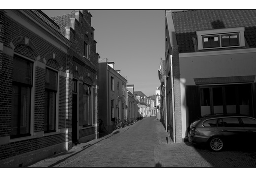 20260124-Vechtstreek-127