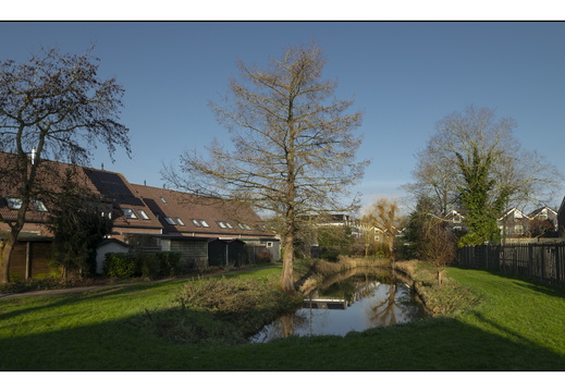 20260124-Vechtstreek-128