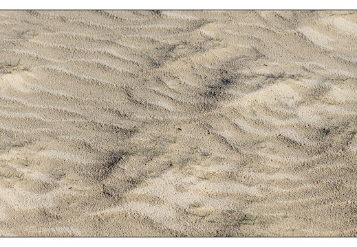 20260207-Kootwijkerzand-102