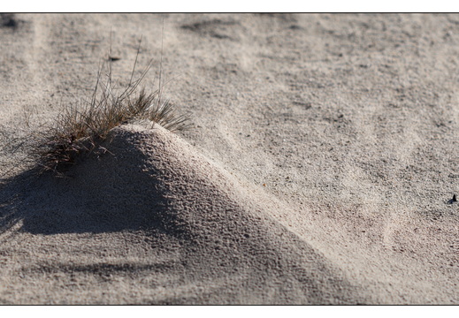 20260207-Kootwijkerzand-105