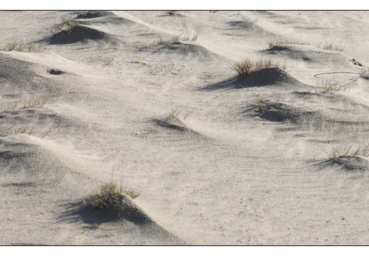 20260207-Kootwijkerzand-106